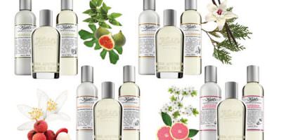 colecciones Aromatic Blends de Kiehl's