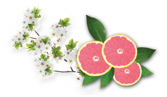 Nashi Blossom & Pink Grapefruit