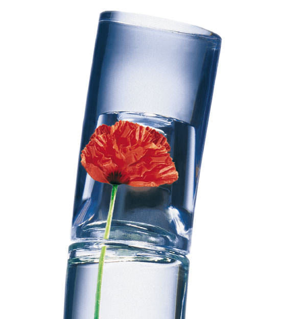 Kenzo 2019 perfume que significa 2025