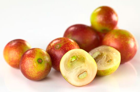 fruta camu camu