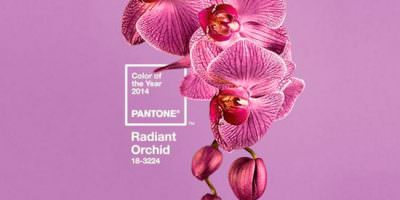 color pantene radiant orchid