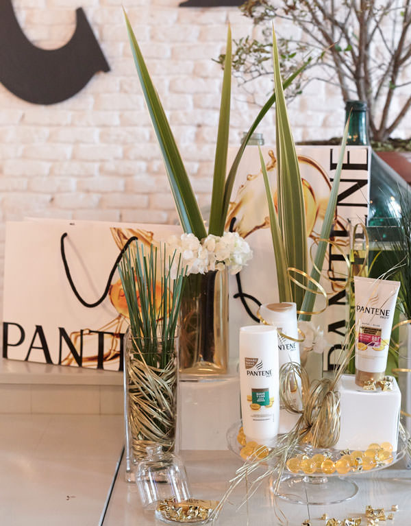 productos anti-oxidantes  Pantene